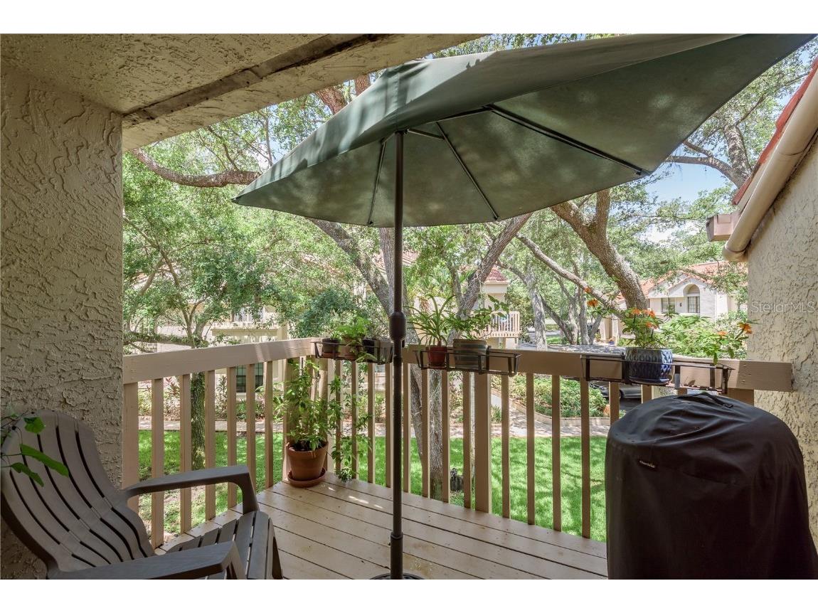 247 Los Prados Drive #1123 Safety Harbor FL 34695 TB8396204 image21