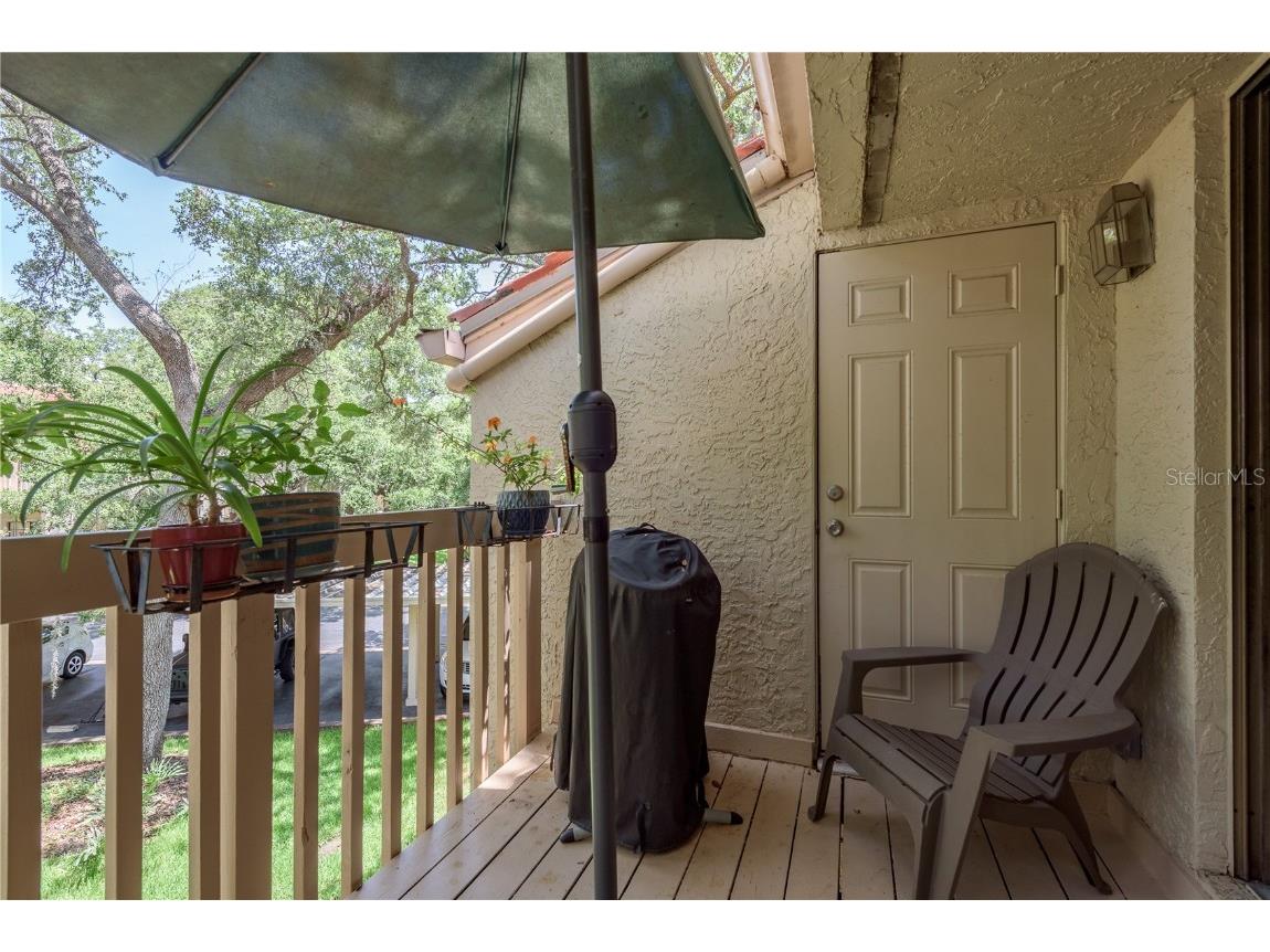 247 Los Prados Drive #1123 Safety Harbor FL 34695 TB8396204 image22