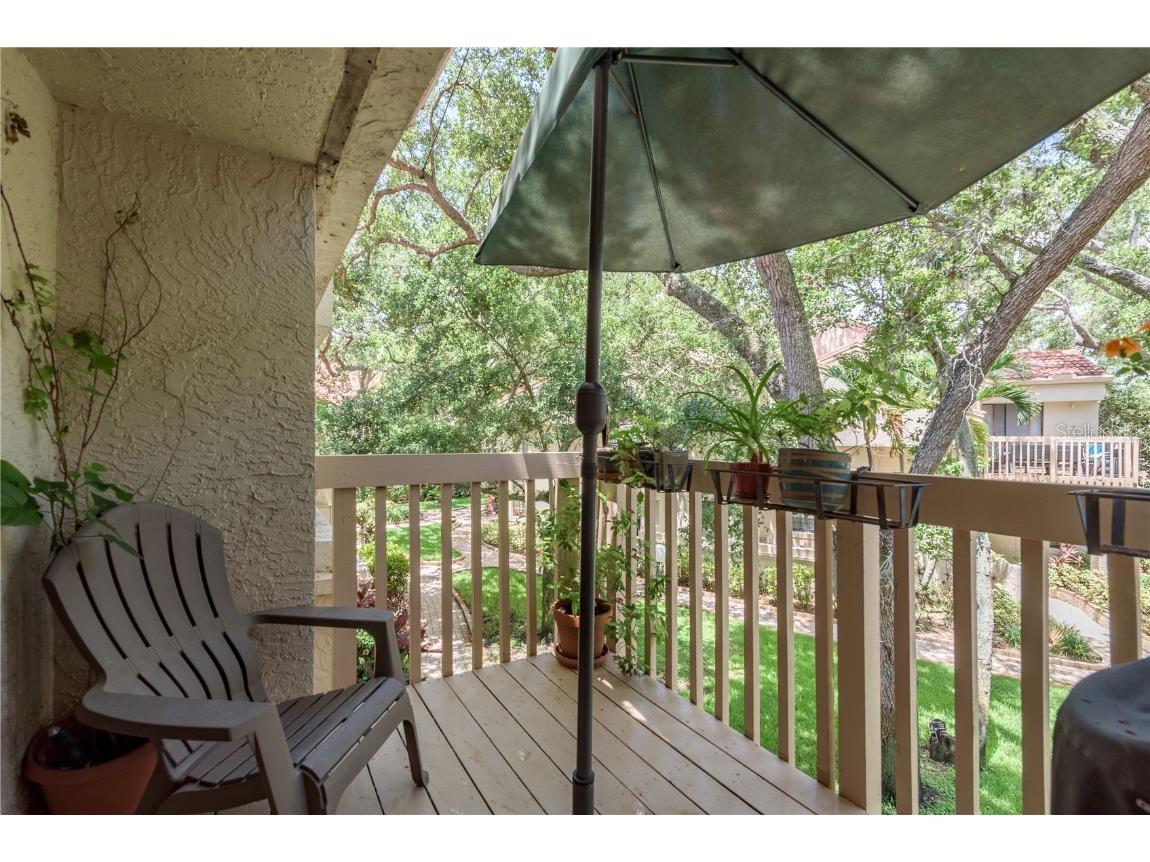 247 Los Prados Drive #1123 Safety Harbor FL 34695 TB8396204 image23