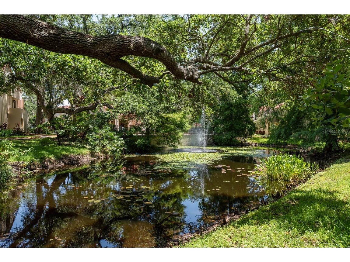 247 Los Prados Drive #1123 Safety Harbor FL 34695 TB8396204 image26