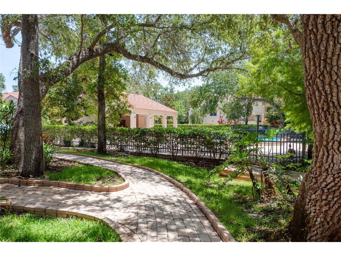 247 Los Prados Drive #1123 Safety Harbor FL 34695 TB8396204 image27