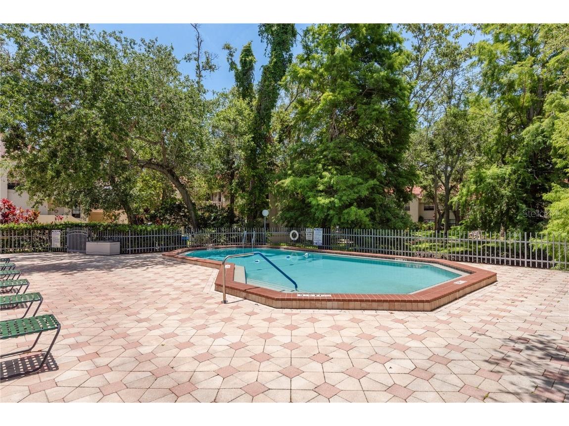 247 Los Prados Drive #1123 Safety Harbor FL 34695 TB8396204 image28