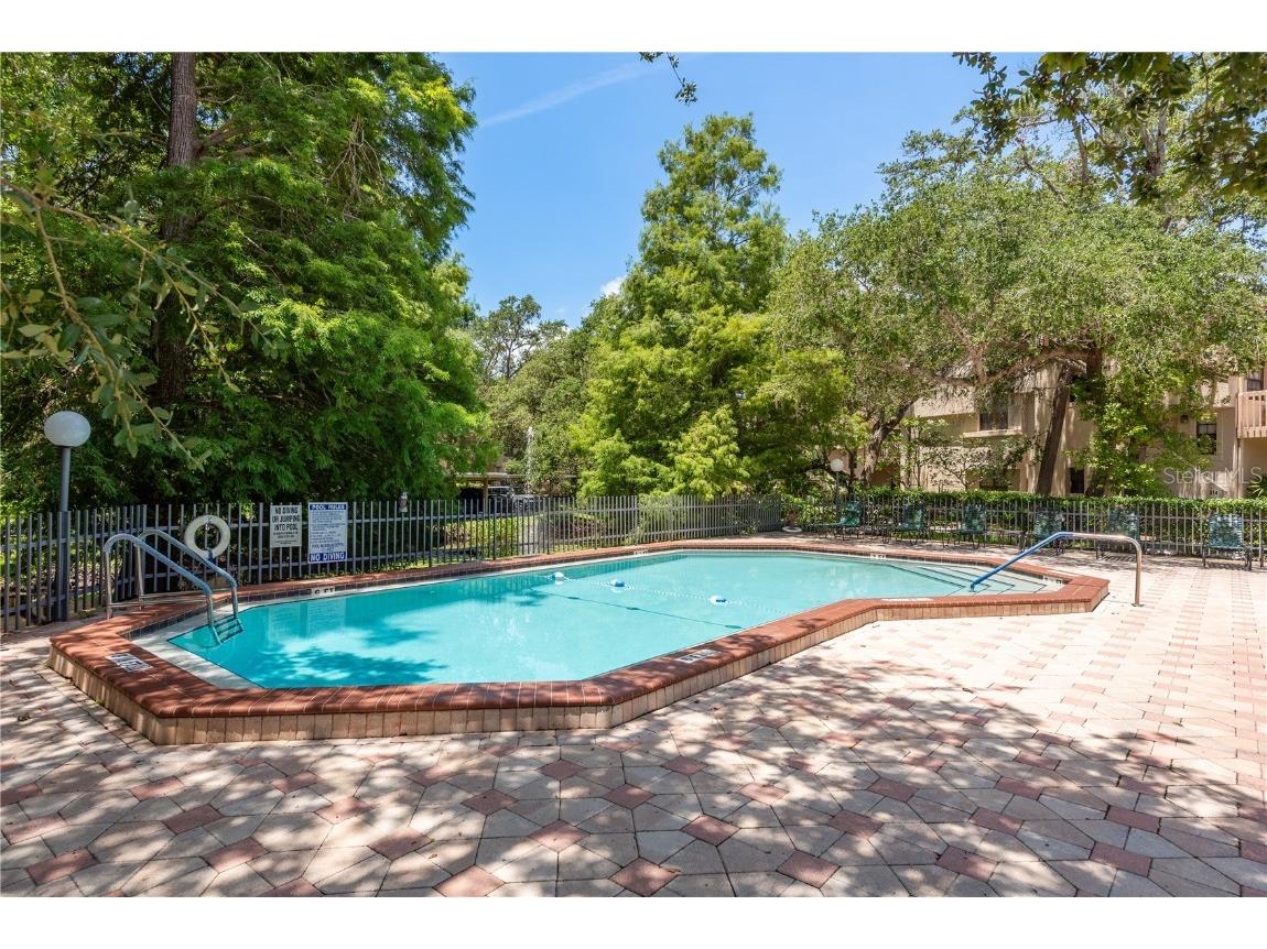 247 Los Prados Drive #1123 Safety Harbor FL 34695 TB8396204 image29