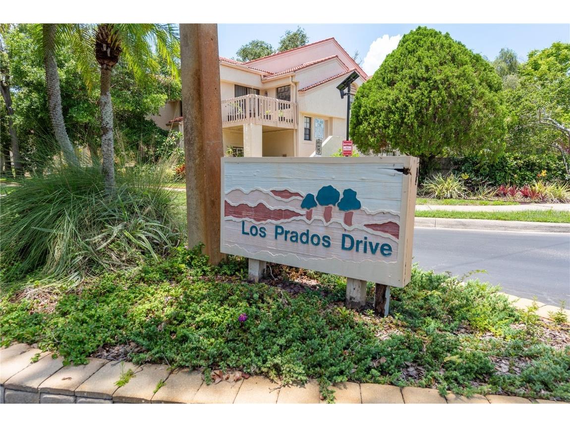 247 Los Prados Drive #1123 Safety Harbor FL 34695 TB8396204 image33