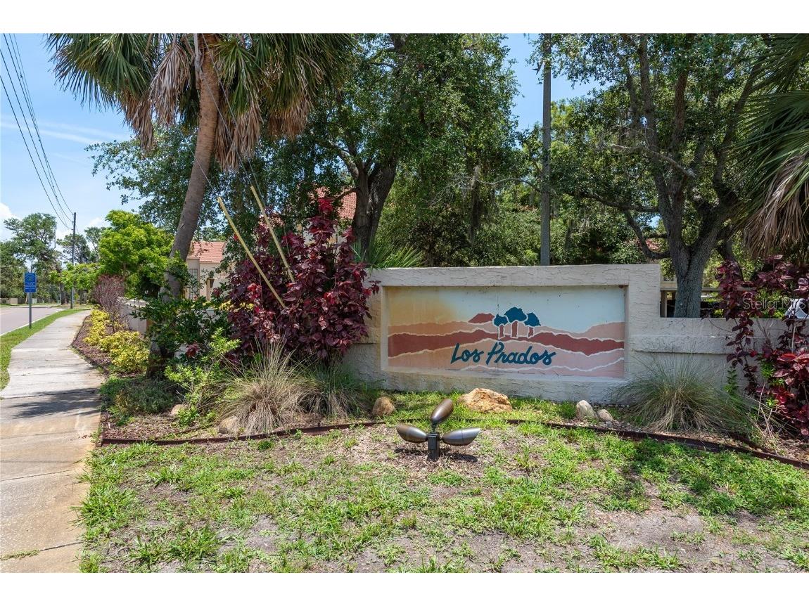 247 Los Prados Drive #1123 Safety Harbor FL 34695 TB8396204 image34