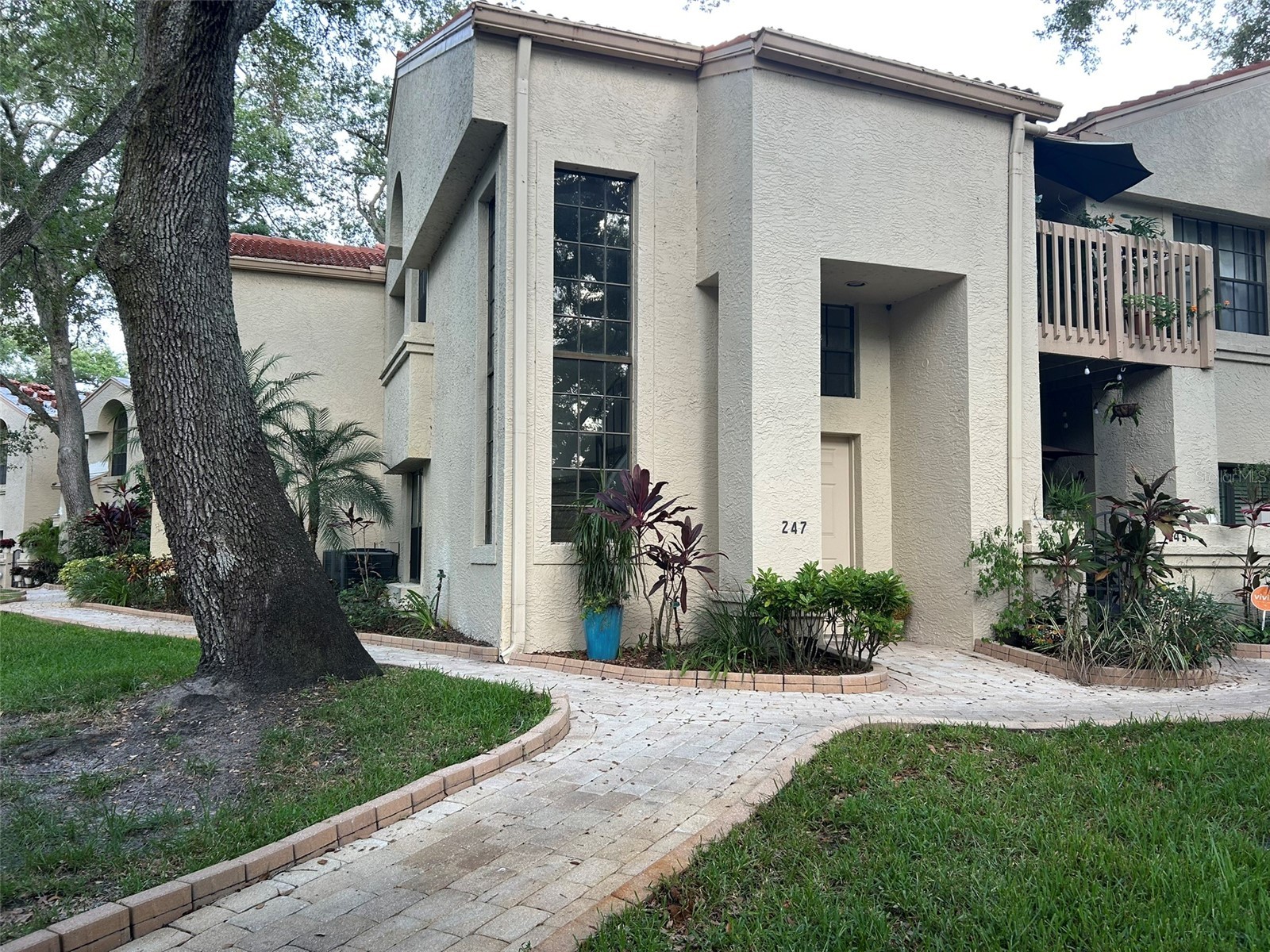 247 Los Prados Drive #1123 Safety Harbor FL 34695 TB8523069 image1