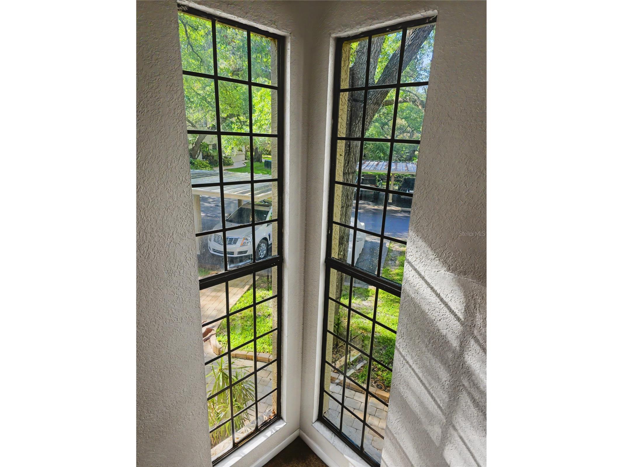 247 Los Prados Drive #1123 Safety Harbor FL 34695 TB8523069 image19