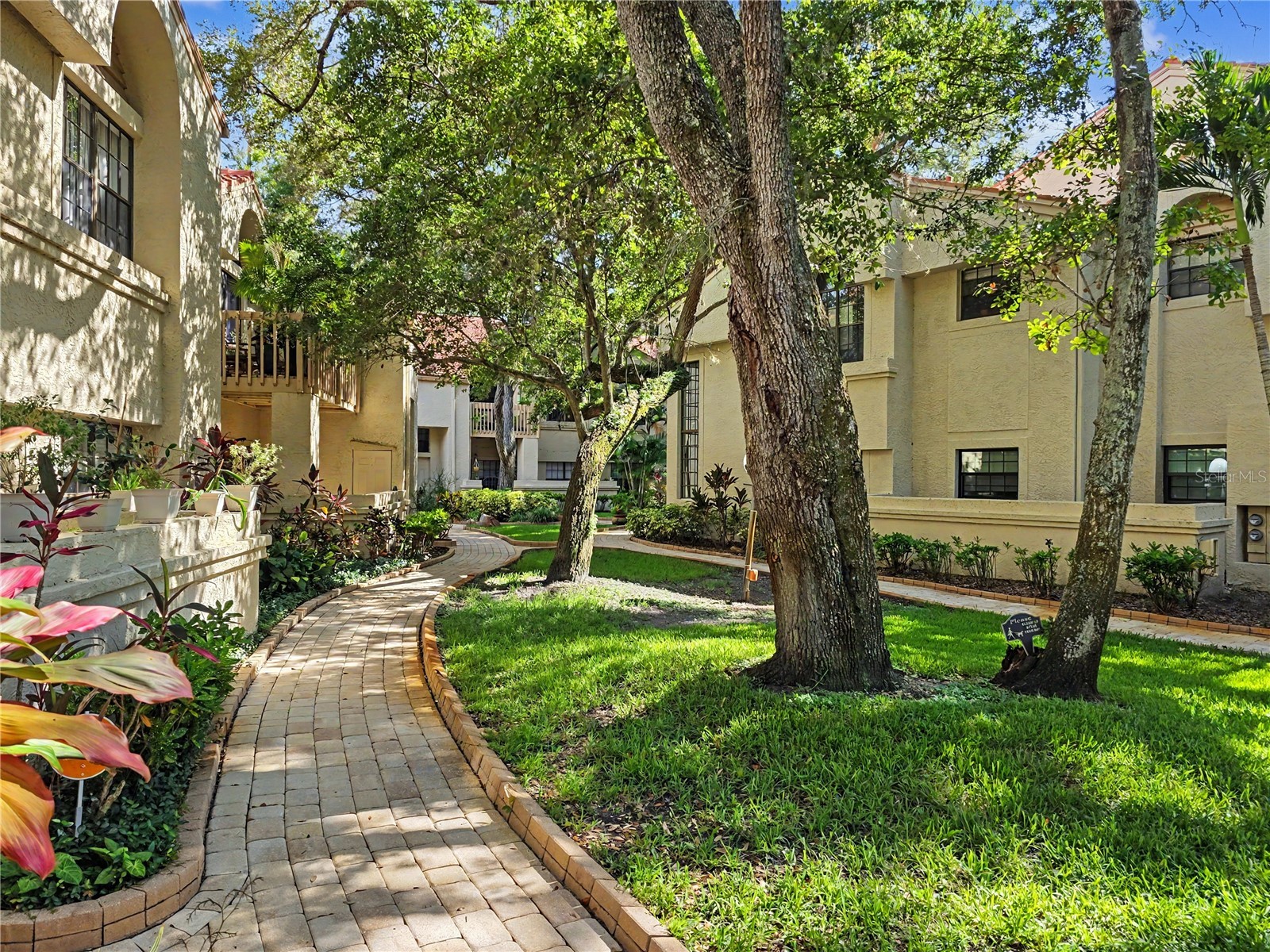 247 Los Prados Drive #1123 Safety Harbor FL 34695 TB8523069 image22