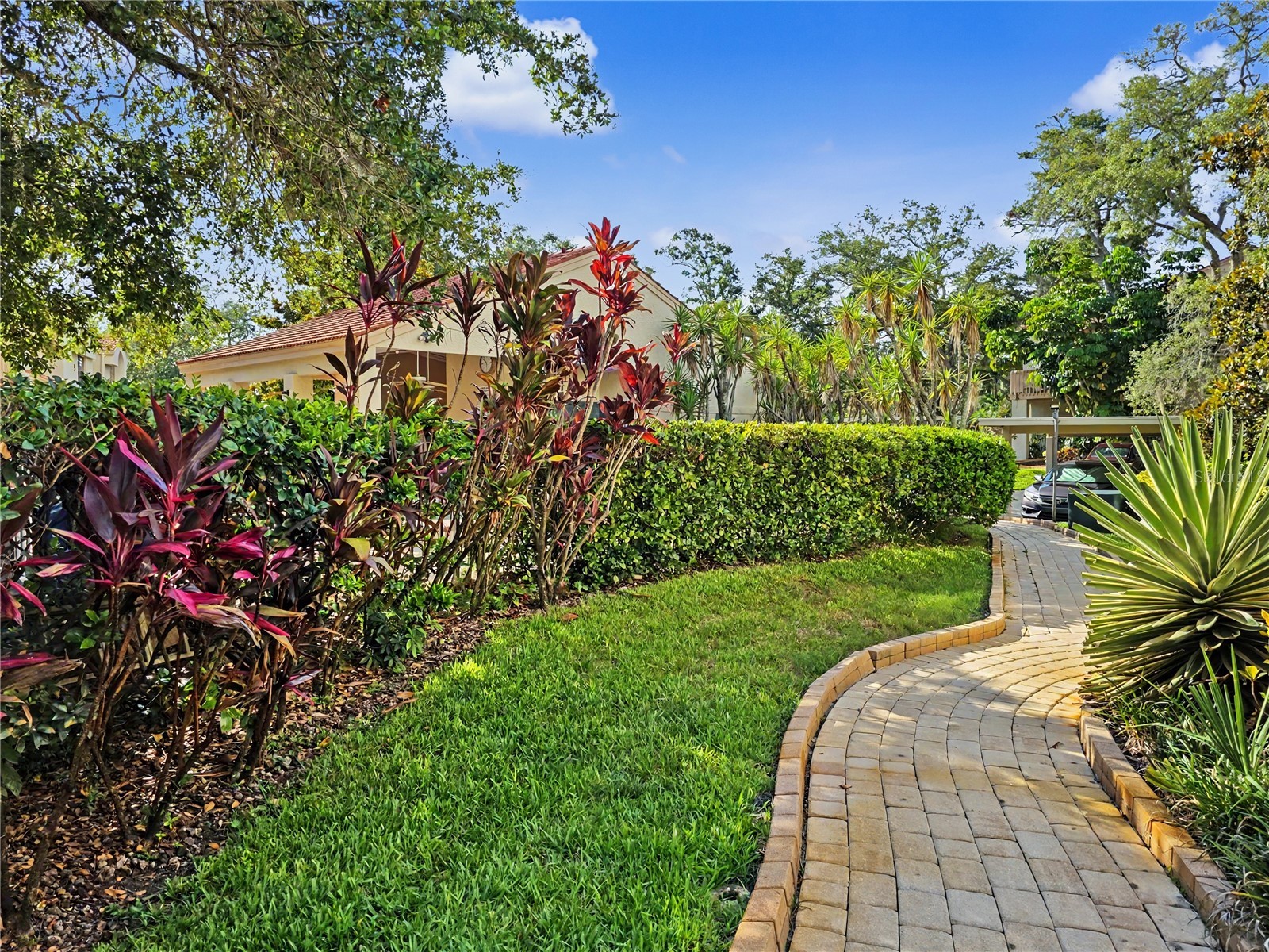 247 Los Prados Drive #1123 Safety Harbor FL 34695 TB8523069 image23