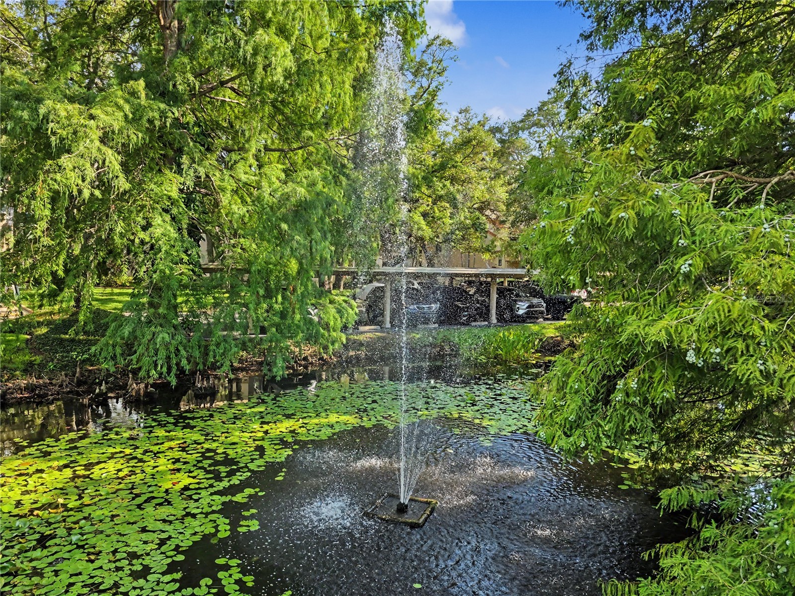 247 Los Prados Drive #1123 Safety Harbor FL 34695 TB8523069 image27