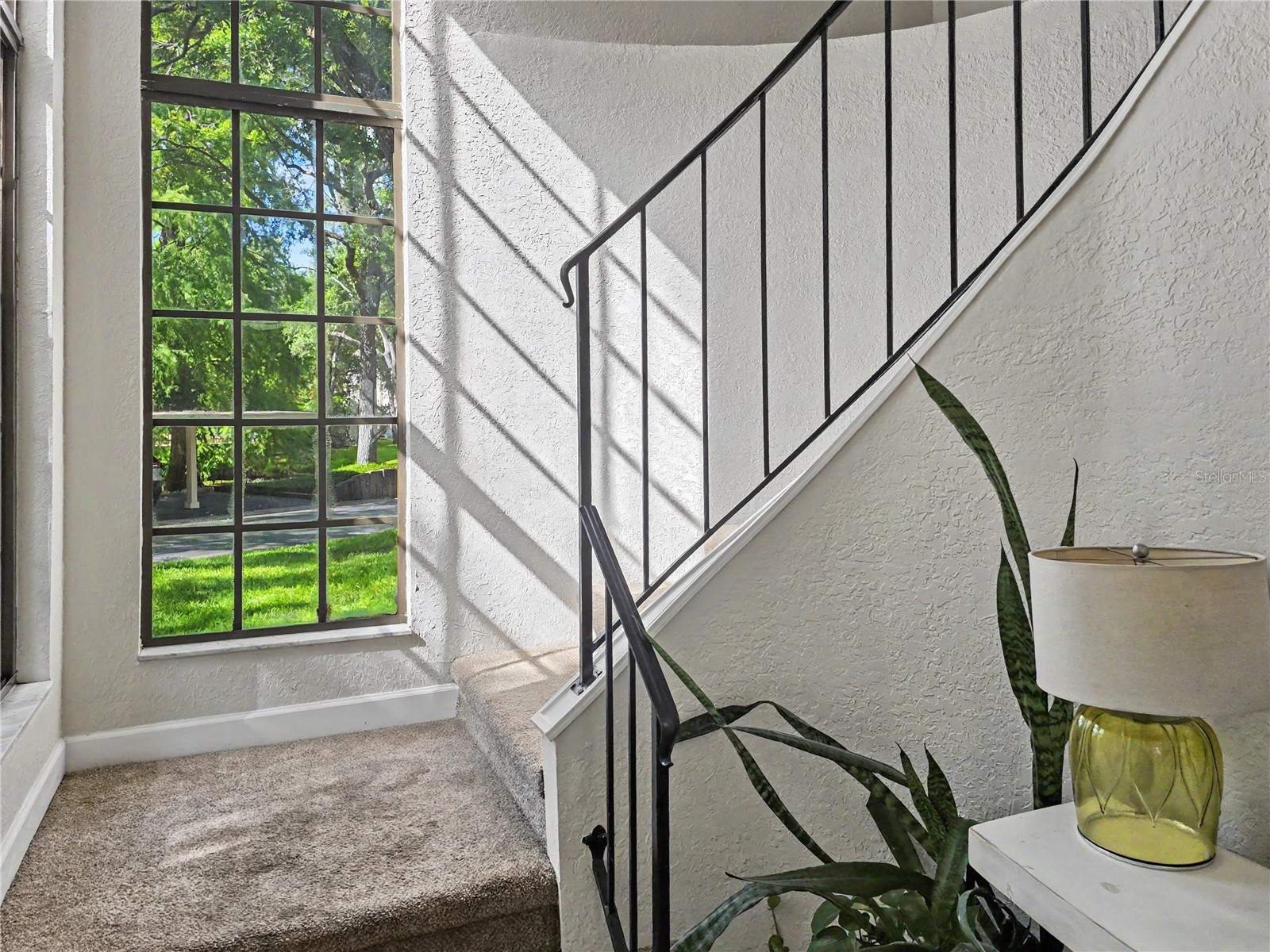 247 Los Prados Drive #1123 Safety Harbor FL 34695 TB8523069 image3