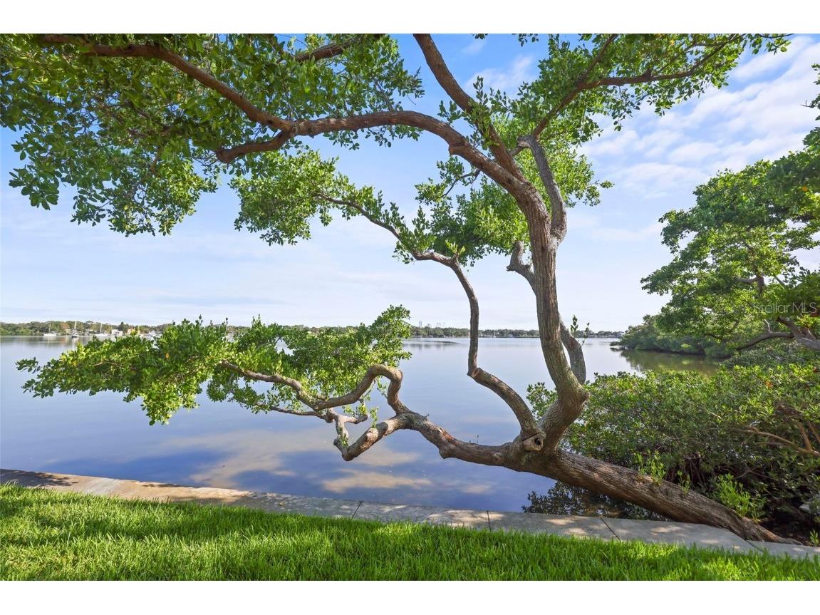 247 Pompano Drive SE #B Saint Petersburg FL 33705 - BIG BAYOU TB8436875 image18