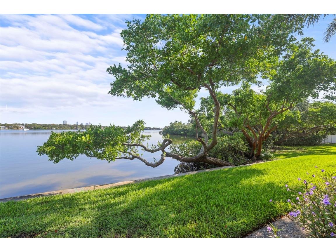 247 Pompano Drive SE #B Saint Petersburg FL 33705 - BIG BAYOU TB8436875 image35