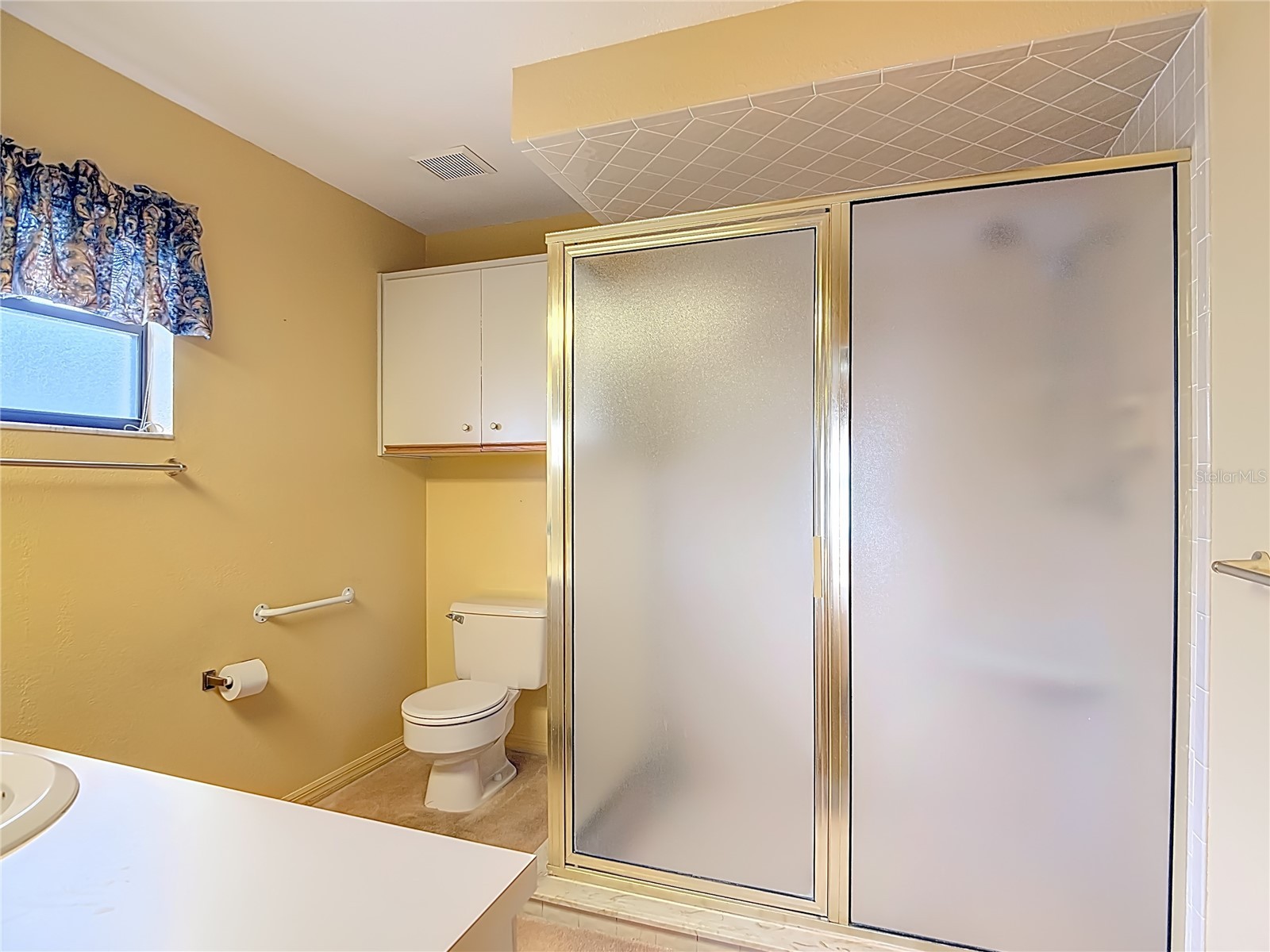 247 S Lake Pansy Drive Winter Haven FL 33881 - LAKE PANSY TB8496517 image42