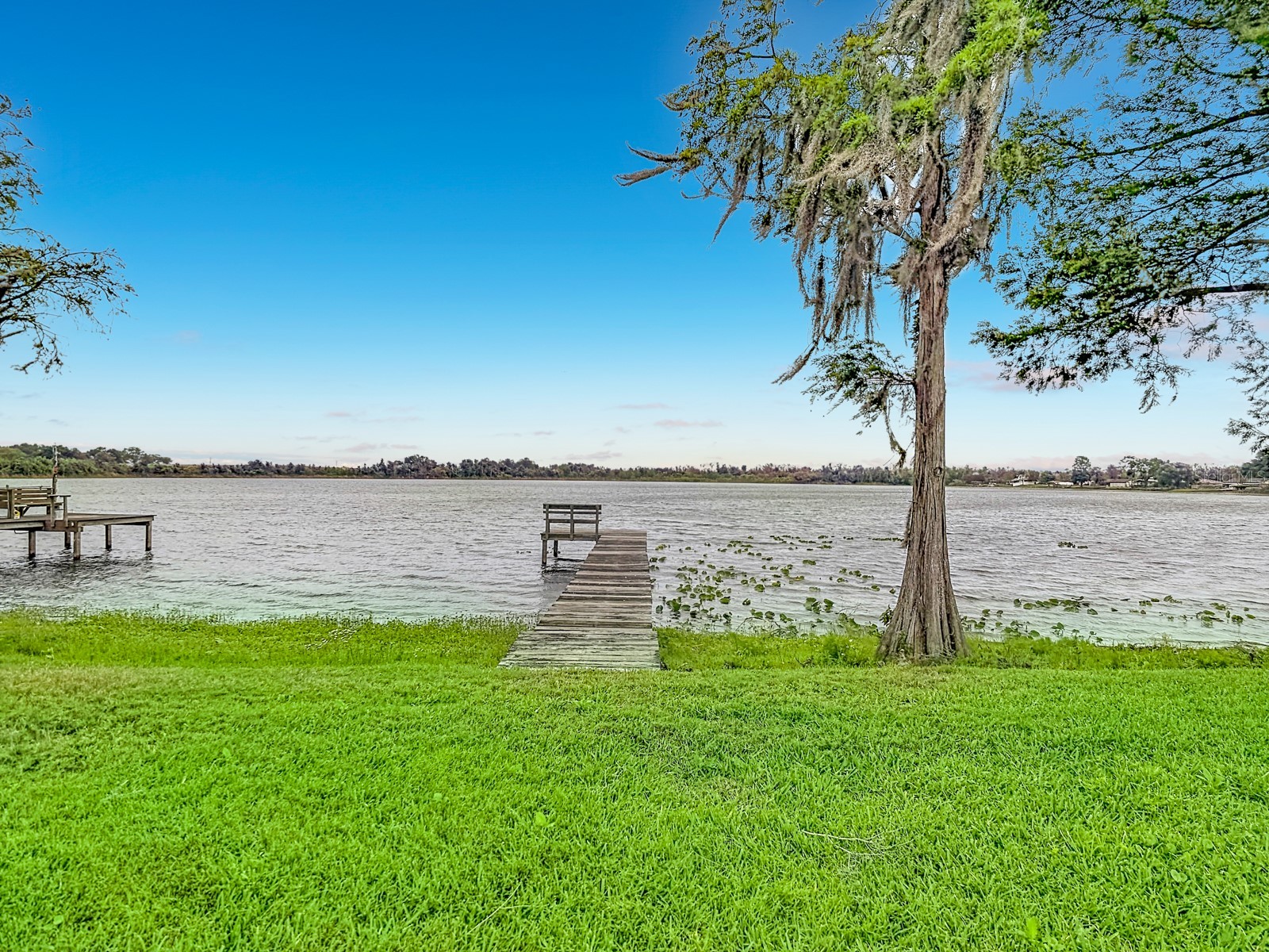 247 S Lake Pansy Drive Winter Haven FL 33881 - LAKE PANSY TB8496517 image6