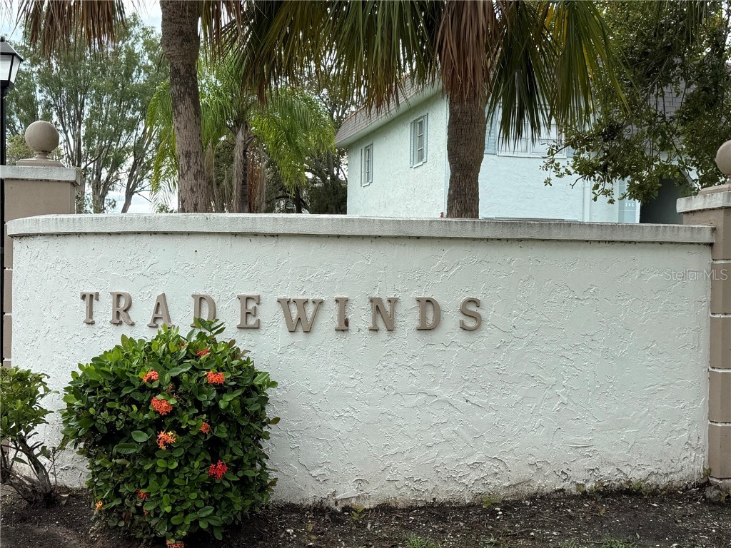 247 S Mcmullen Booth Road #22 Clearwater FL 33759 TB8422840 image2