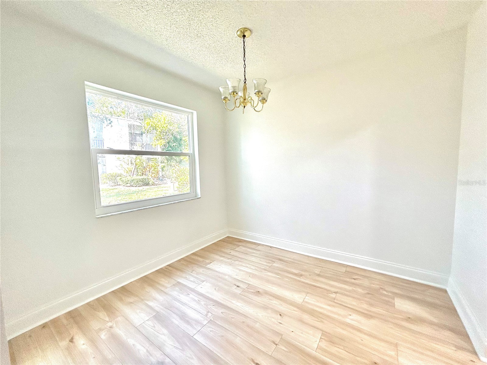 247 S Mcmullen Booth Road #23 Clearwater FL 33759 TB8450209 image21