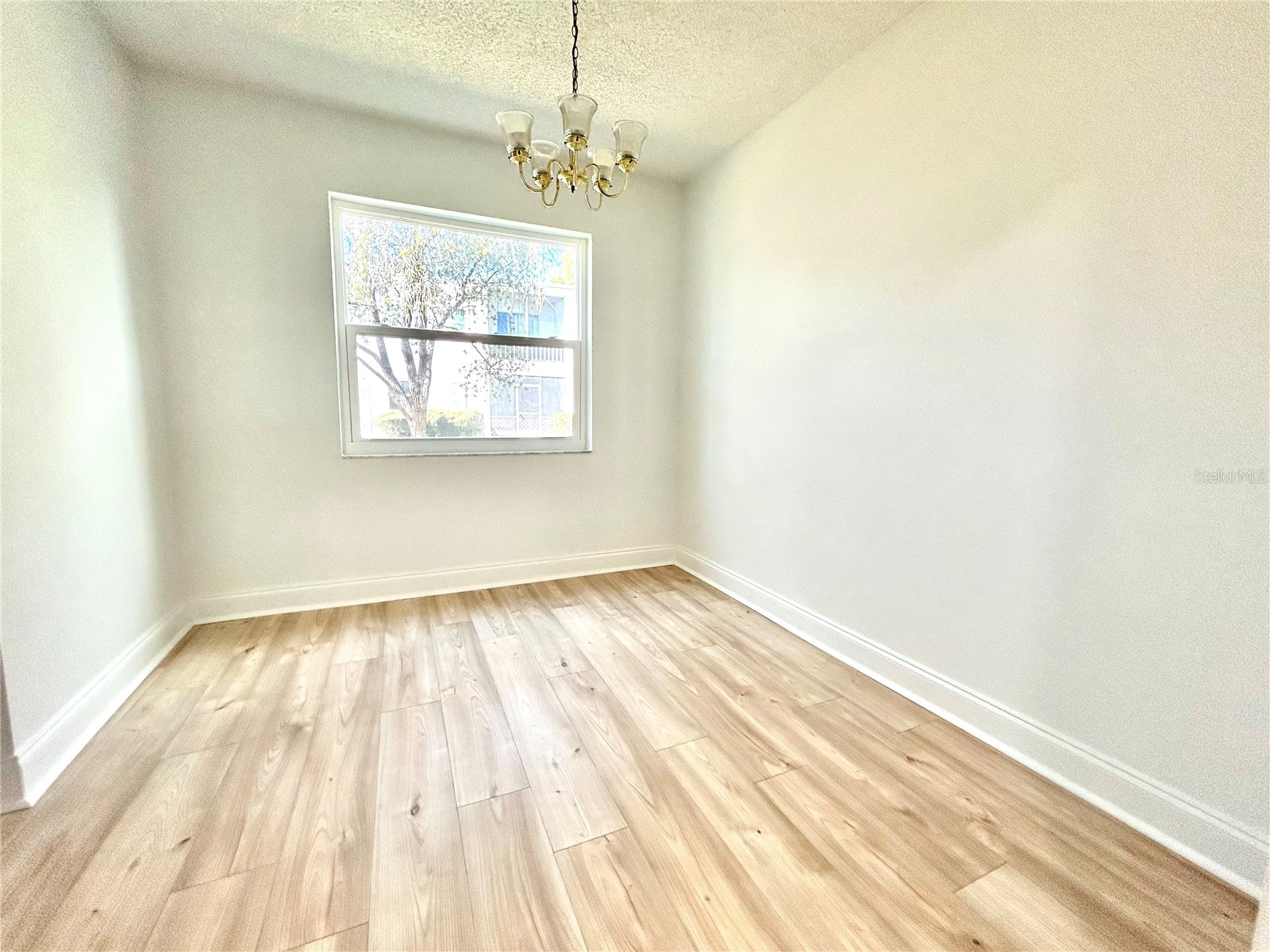 247 S Mcmullen Booth Road #23 Clearwater FL 33759 TB8450209 image22