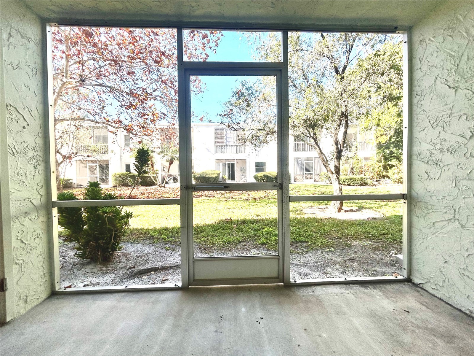 247 S Mcmullen Booth Road #23 Clearwater FL 33759 TB8450209 image31