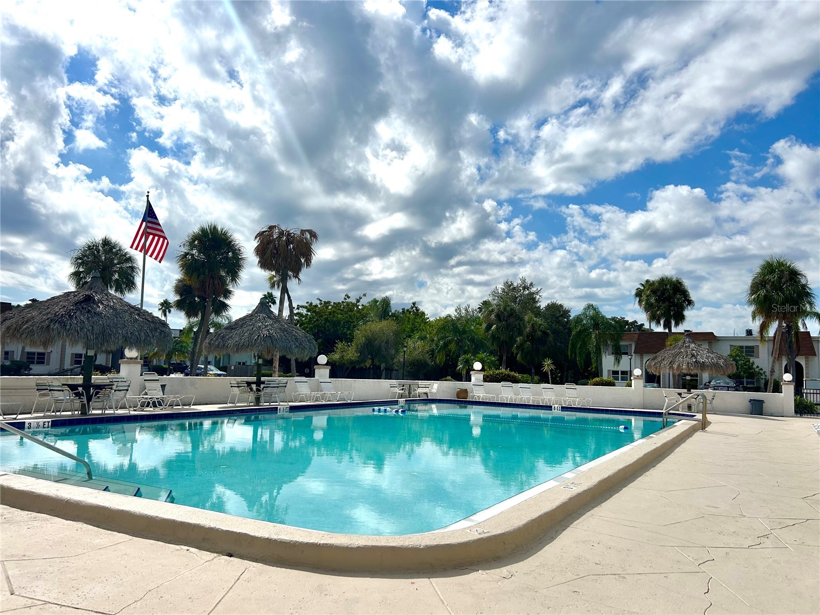 247 S Mcmullen Booth Road #23 Clearwater FL 33759 TB8450209 image36