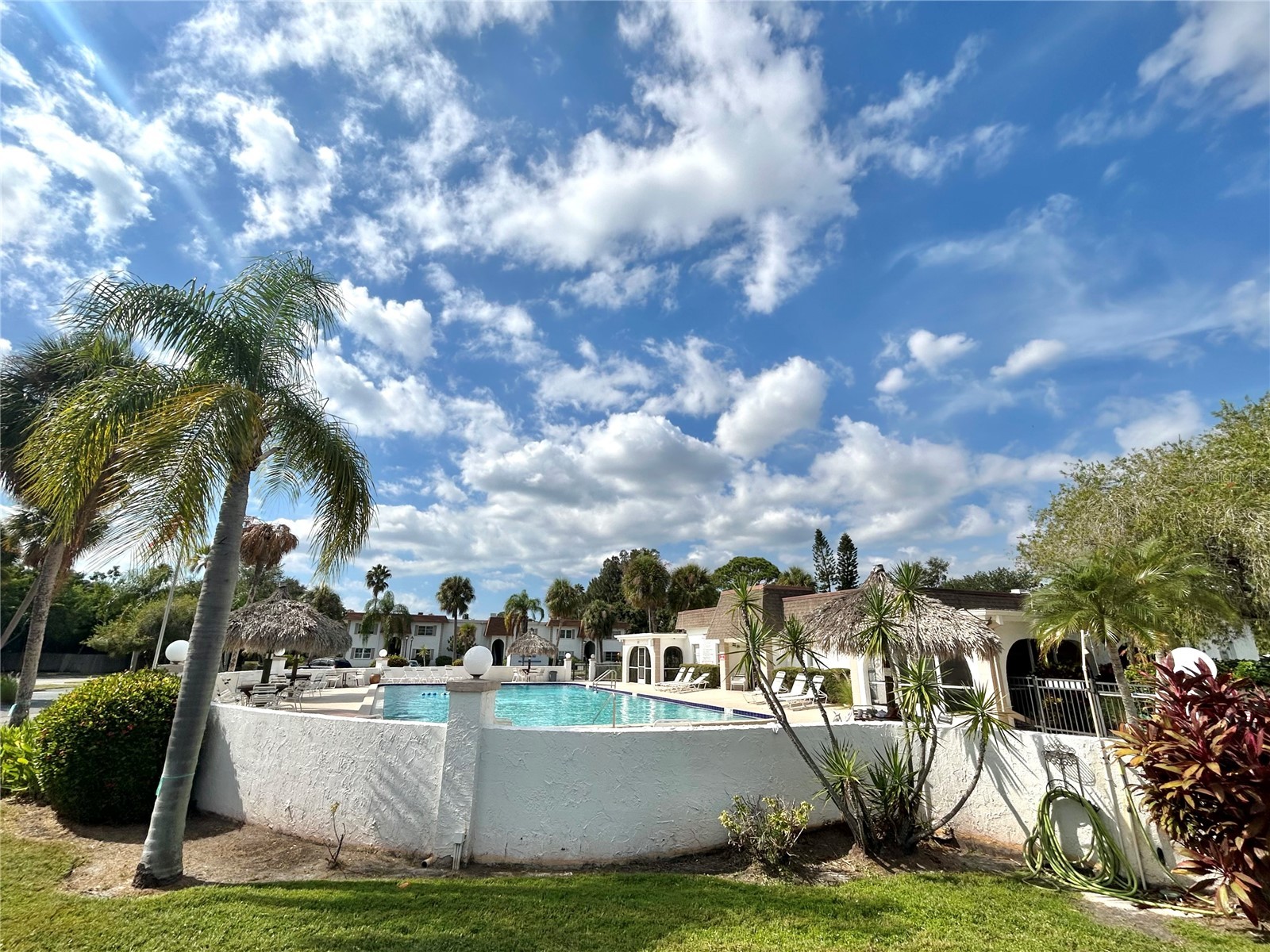 247 S Mcmullen Booth Road #23 Clearwater FL 33759 TB8450209 image37