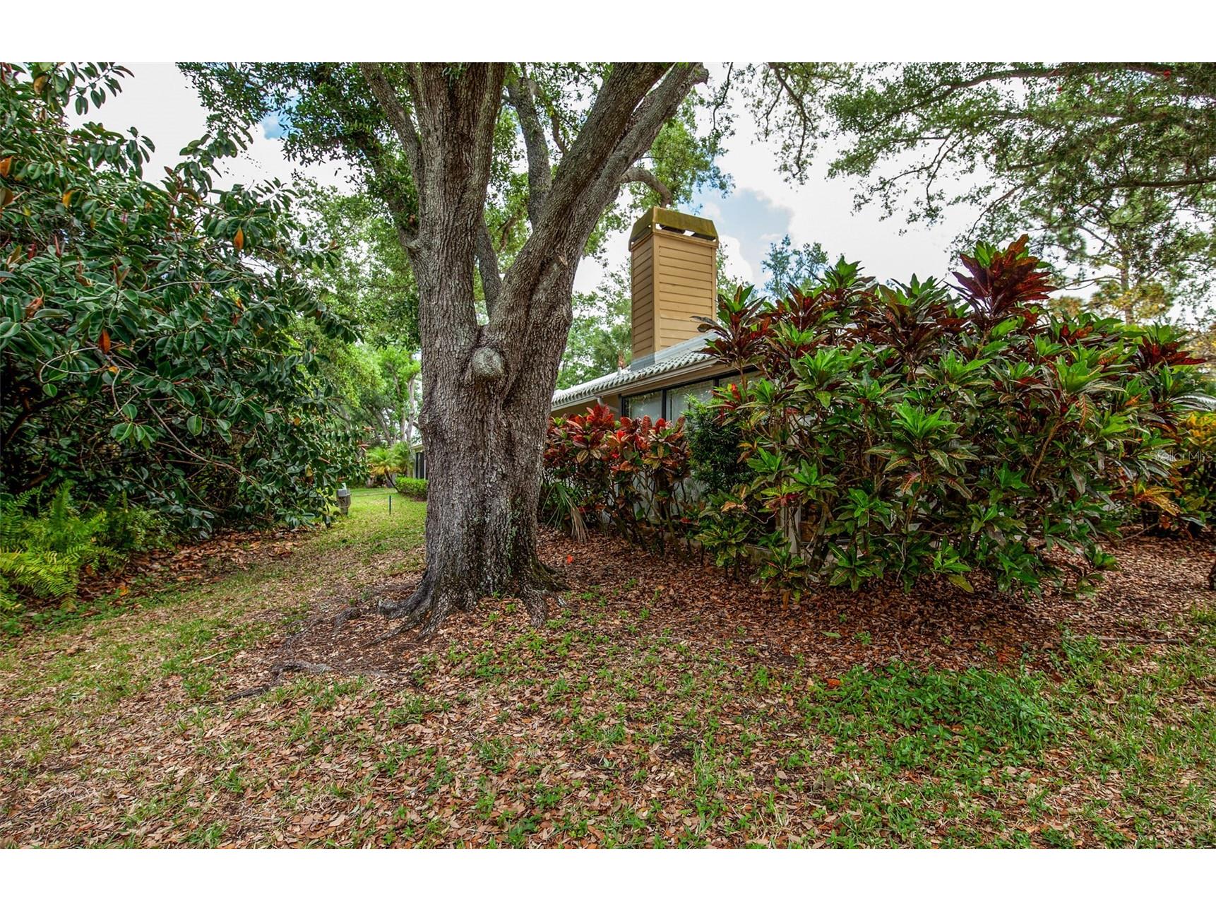 247 Southampton Lane #272 Venice FL 34293 N6143873 image46