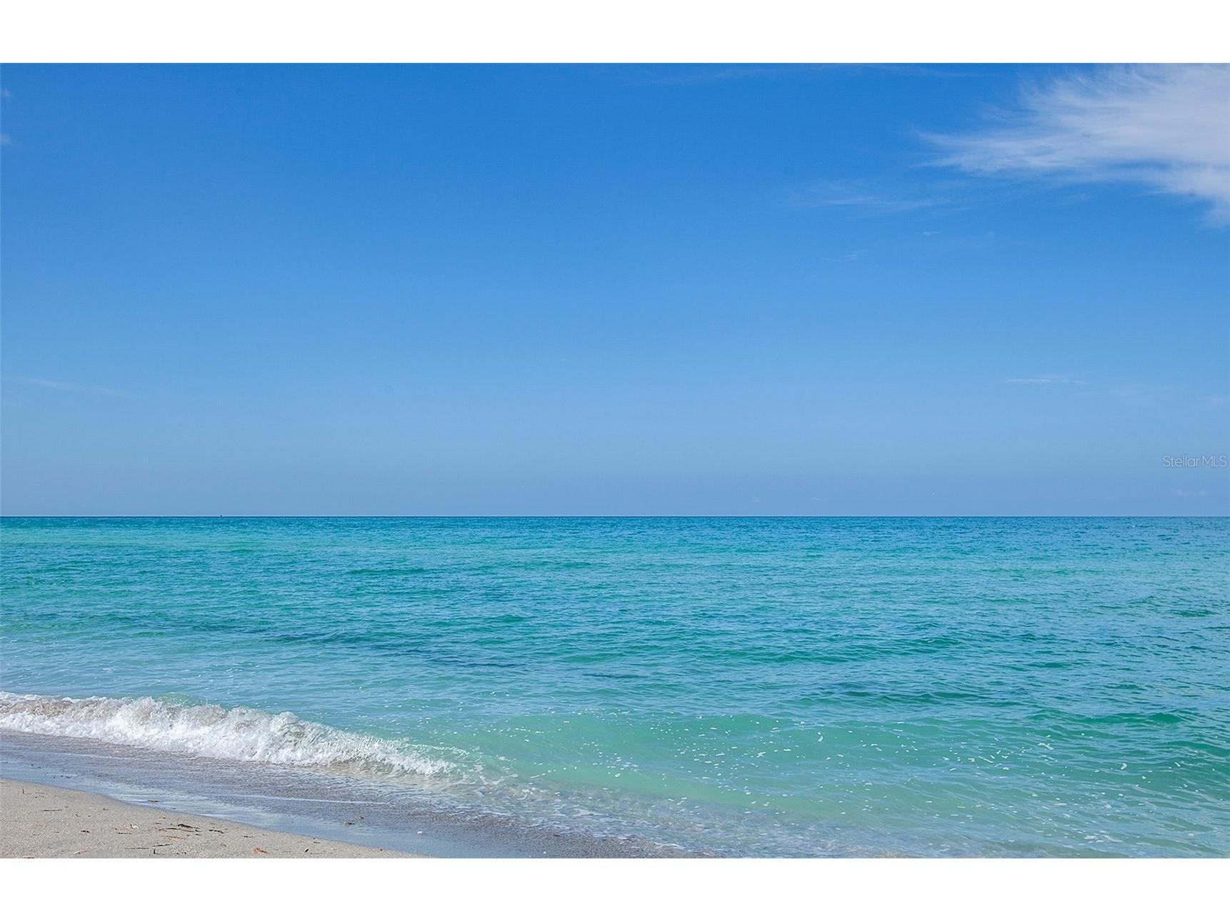 247 Southampton Lane #272 Venice FL 34293 N6143873 image64