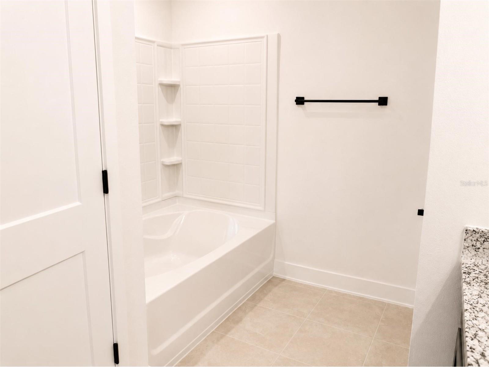 247 Verny Grove Lane Leesburg FL 34748 O6400801 image12