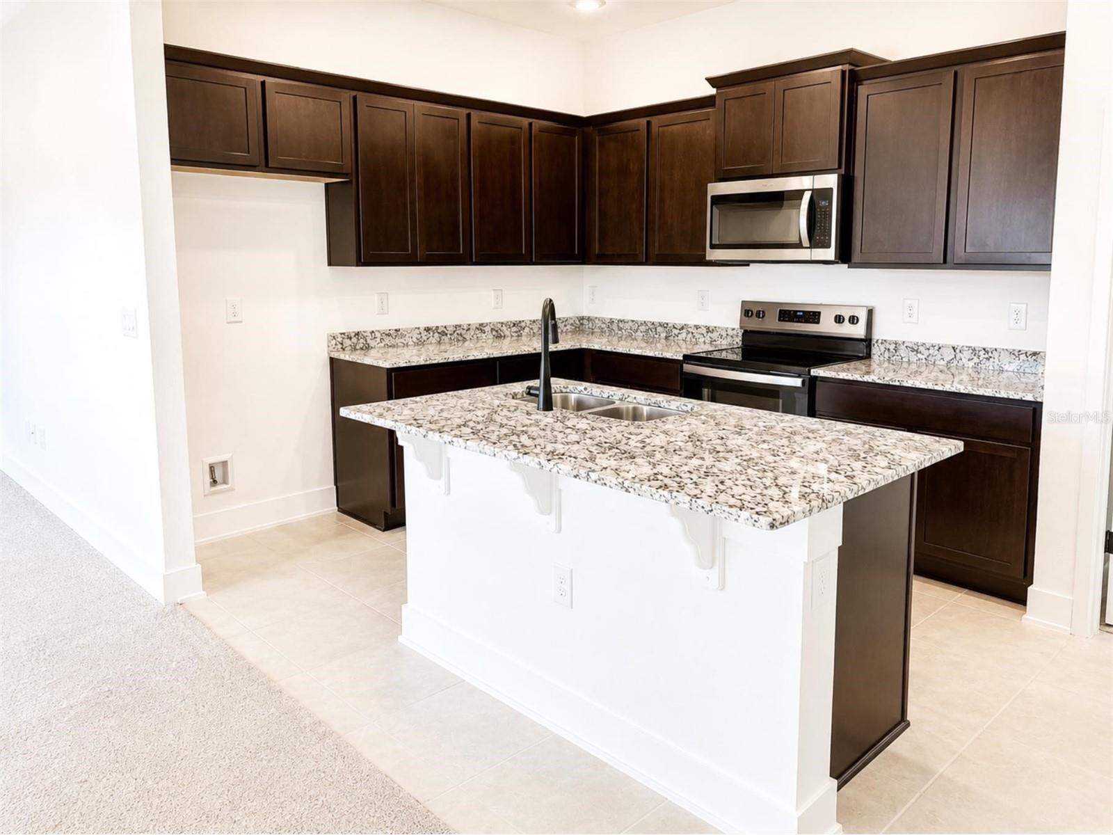 247 Verny Grove Lane Leesburg FL 34748 O6400801 image4