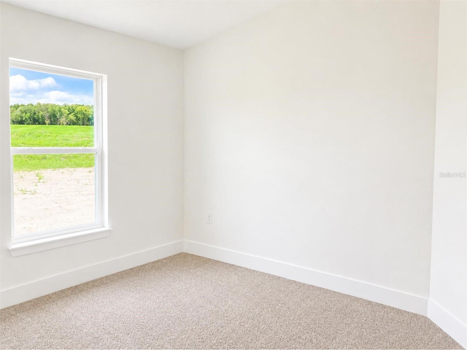 247 Verny Grove Lane Leesburg FL 34748 O6400801 image7