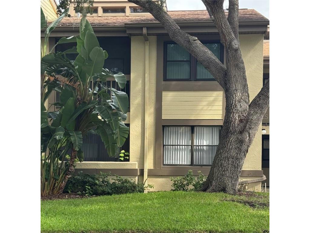 247 Woodlake Wynde Oldsmar FL 34677 TB8424089 image1