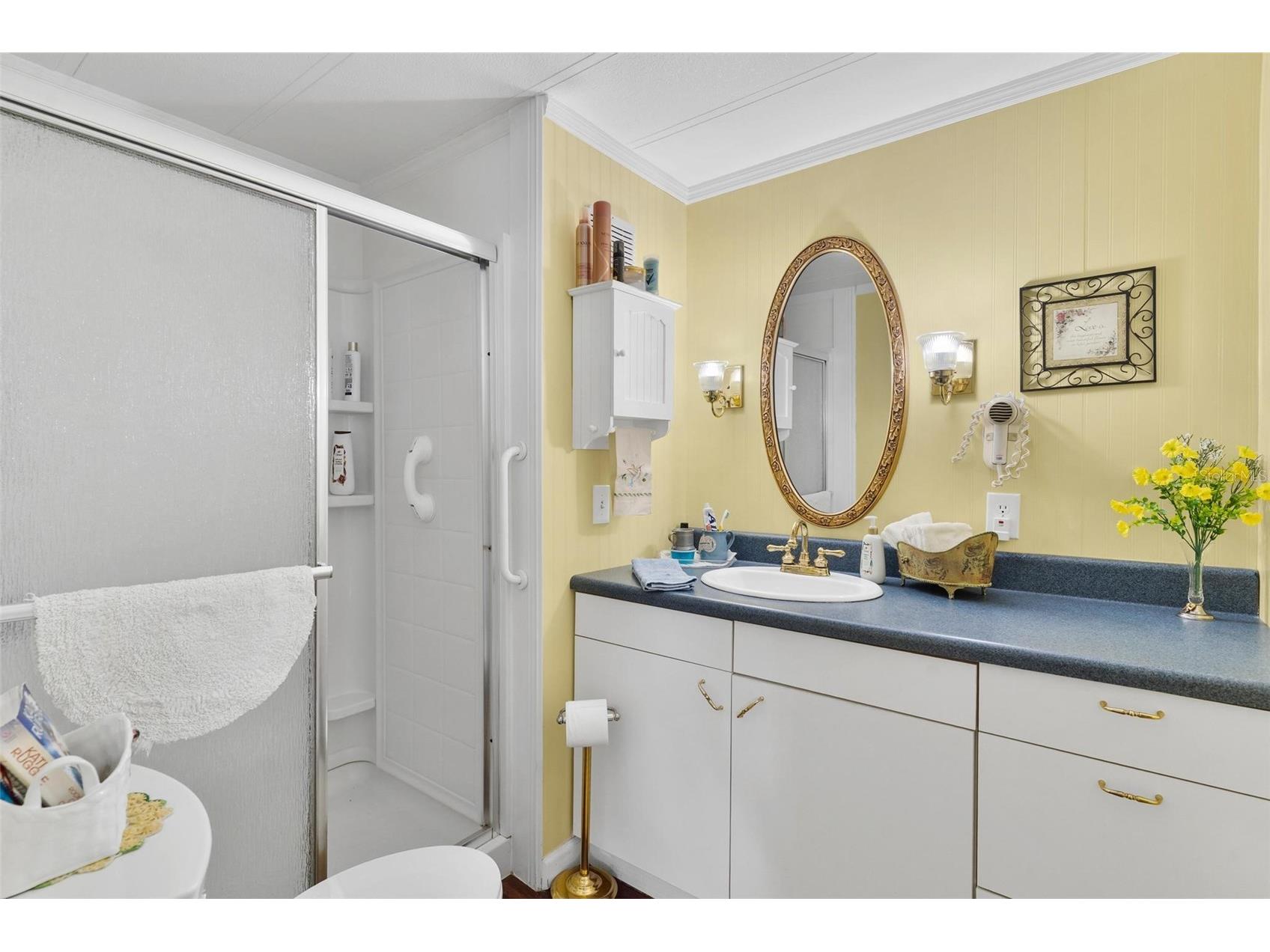 2470 Karen Drive Mount Dora FL 32757 G5110355 image26