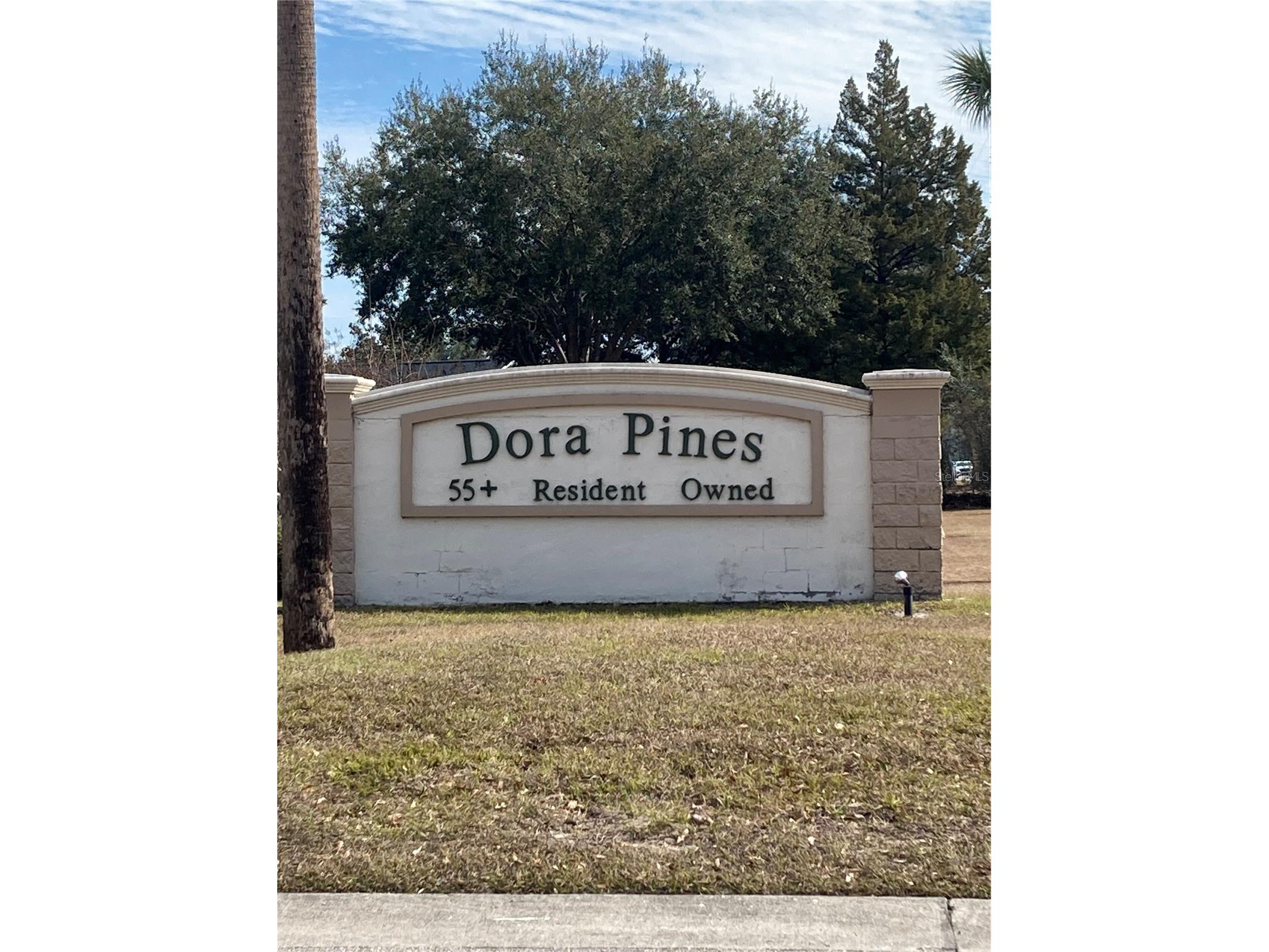 2470 Karen Drive Mount Dora FL 32757 G5110355 image44