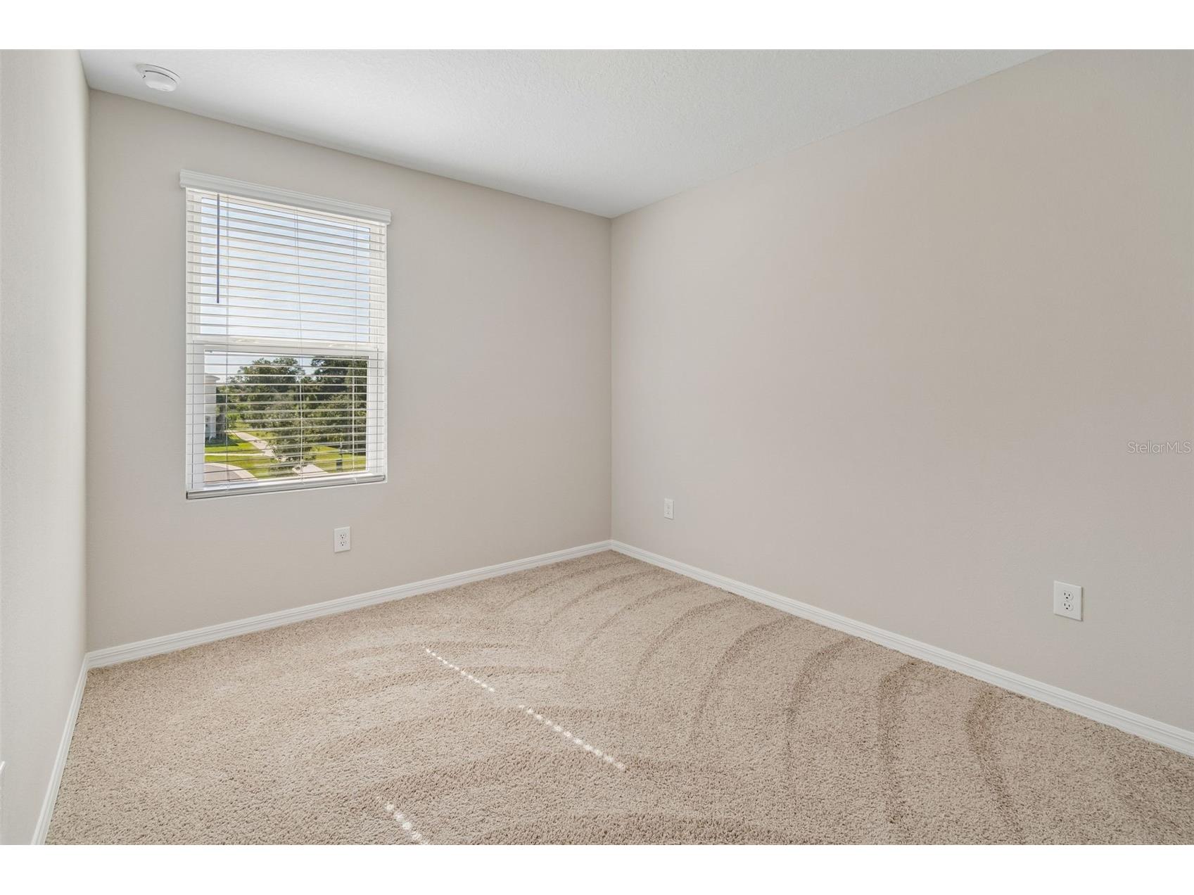 2470 Paravane Way Wesley Chapel FL 33543 TB8509600 image25