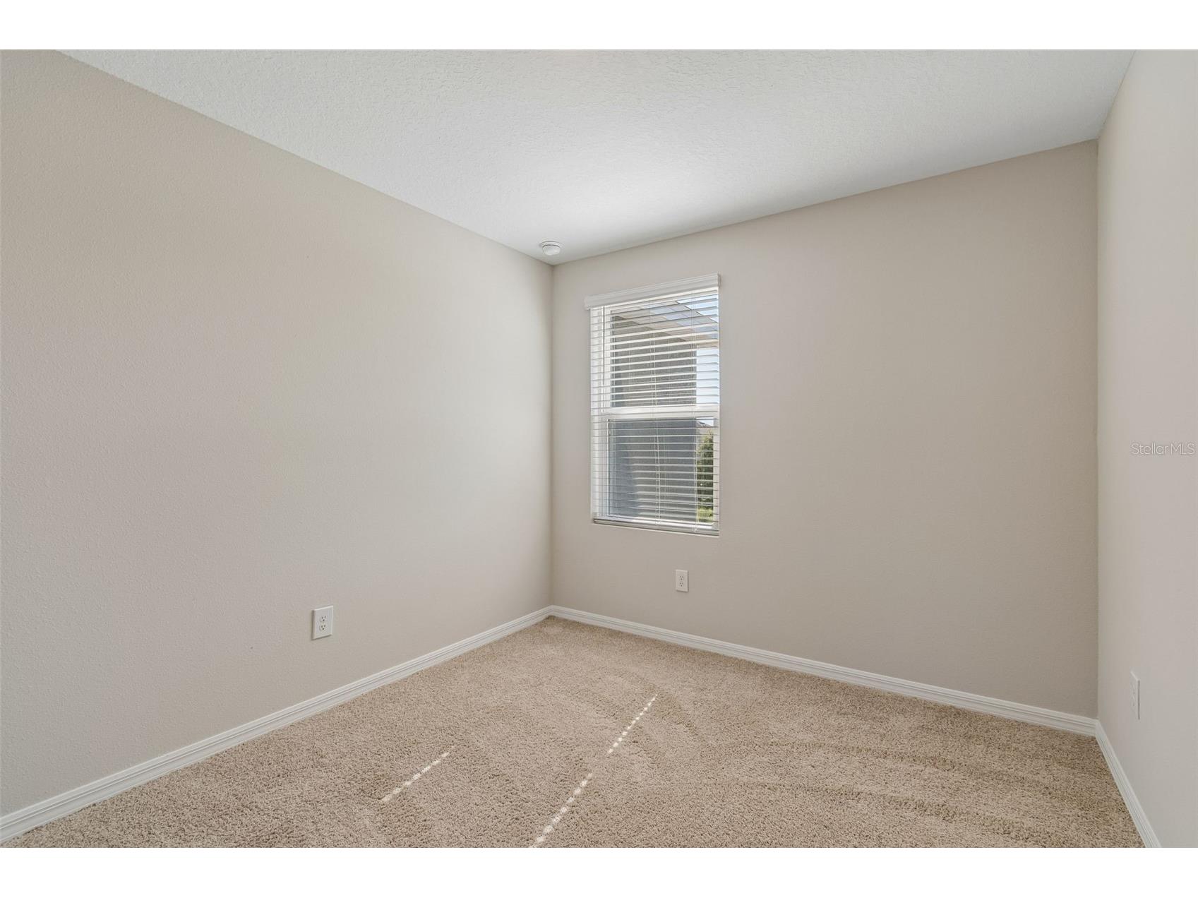 2470 Paravane Way Wesley Chapel FL 33543 TB8509600 image28