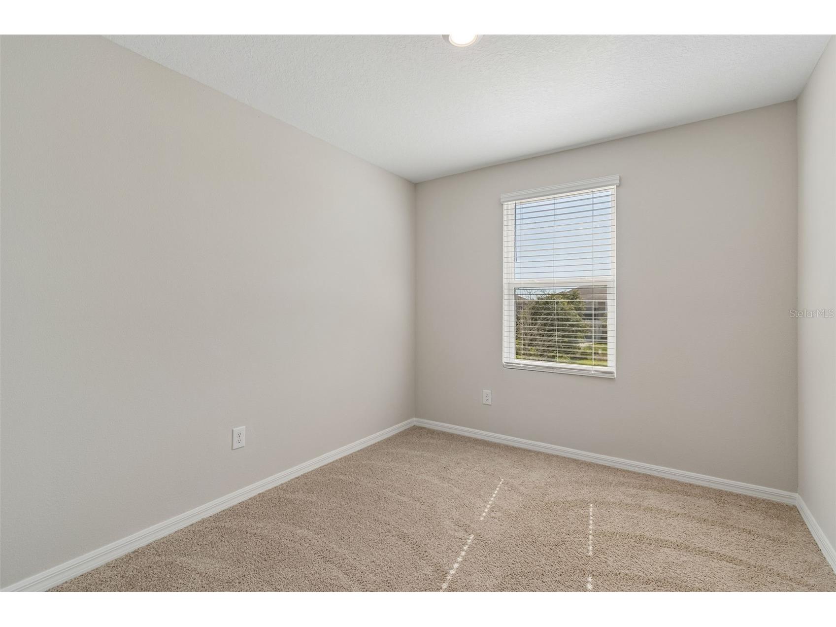 2470 Paravane Way Wesley Chapel FL 33543 TB8509600 image29