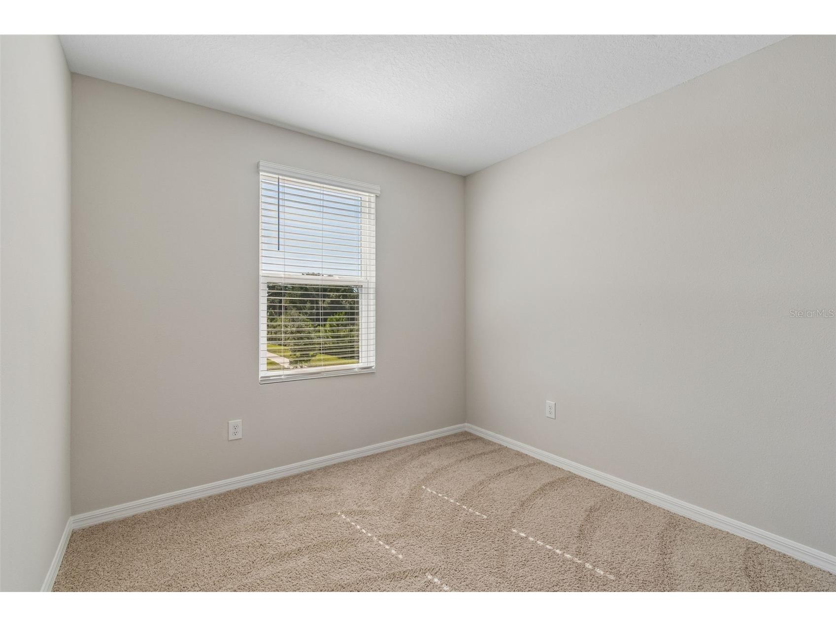 2470 Paravane Way Wesley Chapel FL 33543 TB8509600 image30