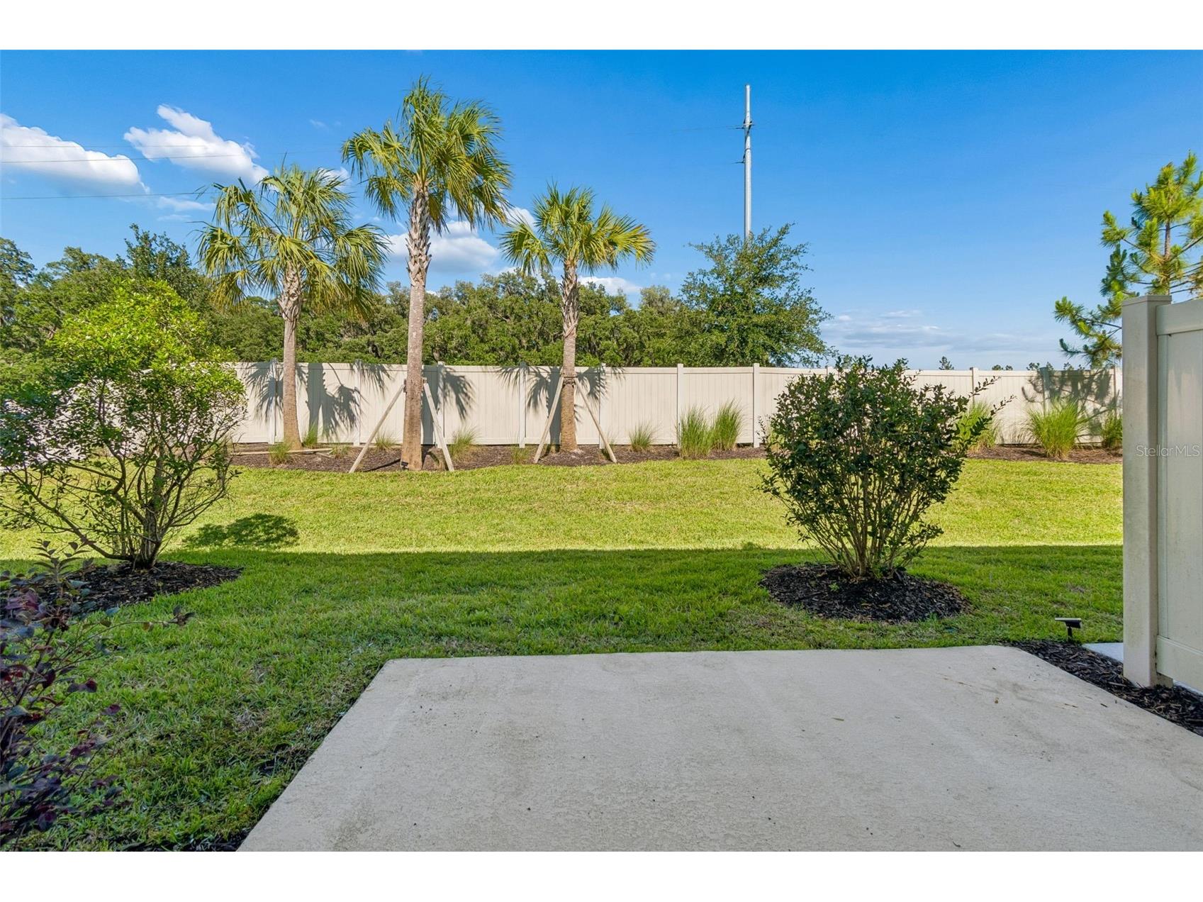 2470 Paravane Way Wesley Chapel FL 33543 TB8509600 image35