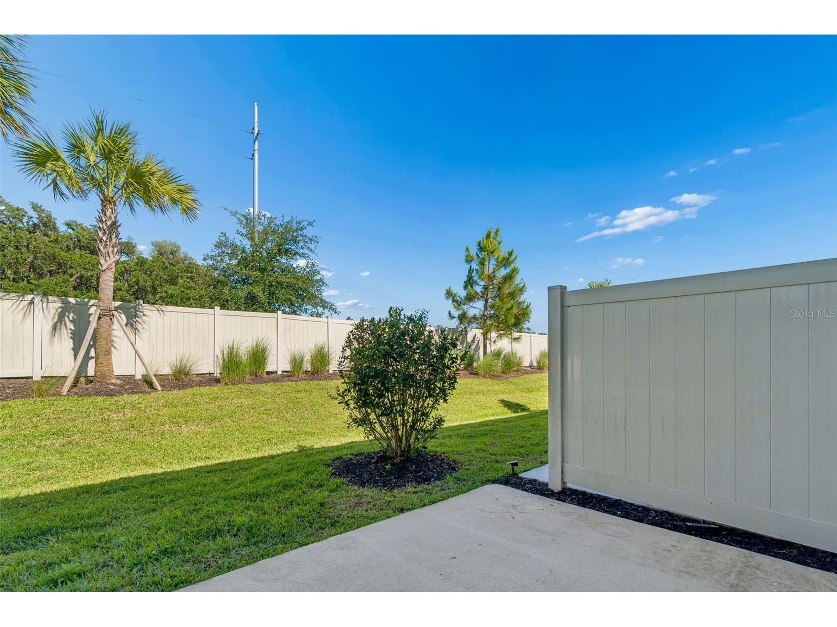 2470 Paravane Way Wesley Chapel FL 33543 TB8509600 image36