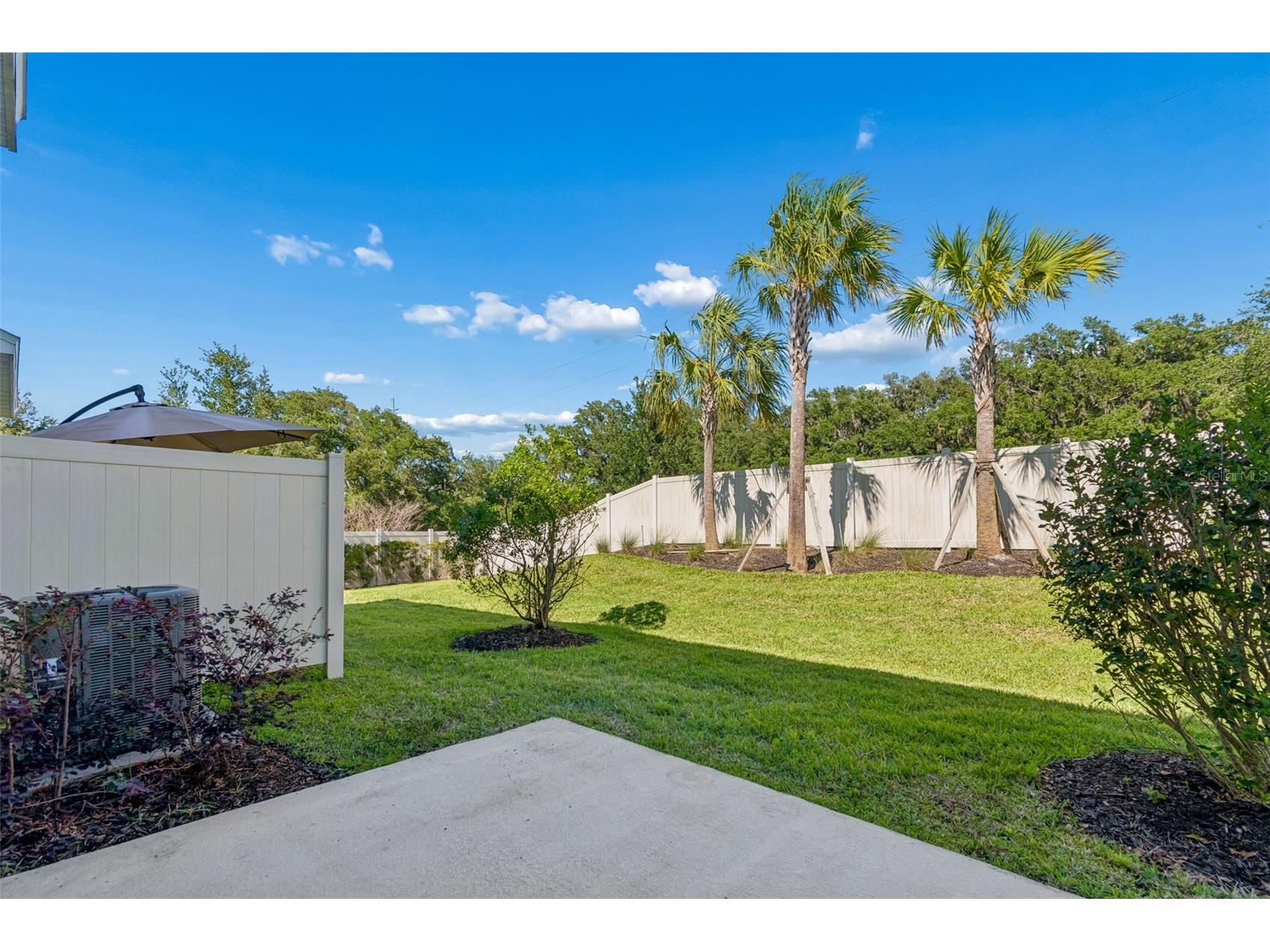 2470 Paravane Way Wesley Chapel FL 33543 TB8509600 image37