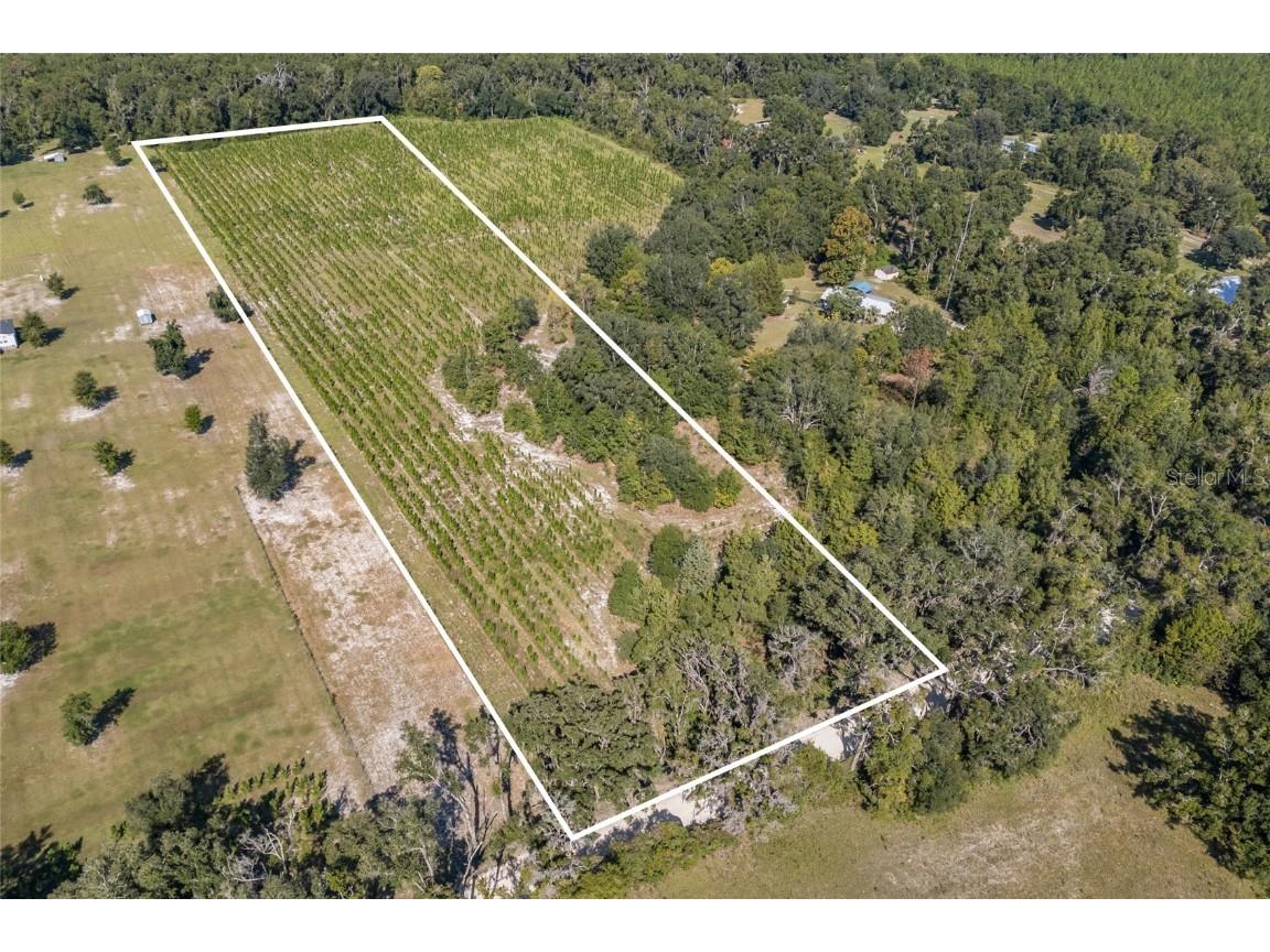 2470 SW Centerville Avenue Fort White FL 32038 GC534237 image1