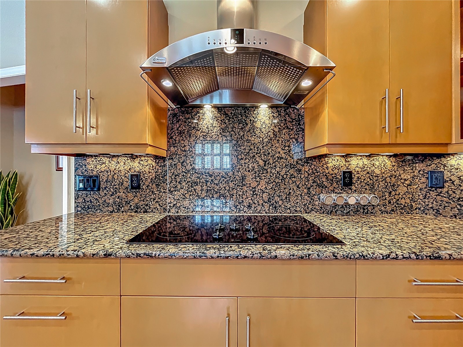 2470 Sweetwater Country Club Drive Apopka FL 32712 O6406463 image15
