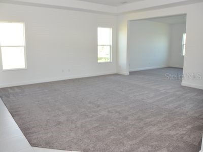 2471 Coco Palm Circle Wesley Chapel FL 33543 TB8425693 image21