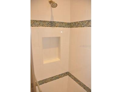 2471 Coco Palm Circle Wesley Chapel FL 33543 TB8425693 image33