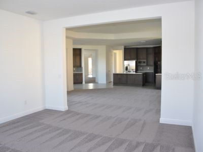 2471 Coco Palm Circle Wesley Chapel FL 33543 TB8465246 image18