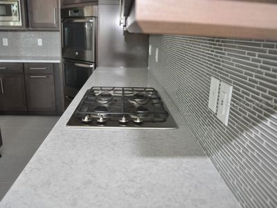 2471 Coco Palm Circle Wesley Chapel FL 33543 TB8465246 image28