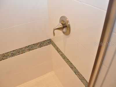 2471 Coco Palm Circle Wesley Chapel FL 33543 TB8465246 image40