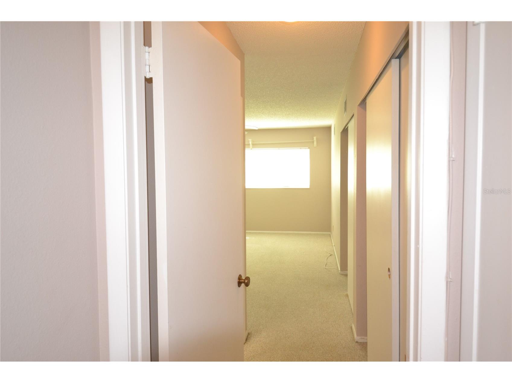 2471 Sumatran Way #25 Clearwater FL 33763 TB8523747 image34