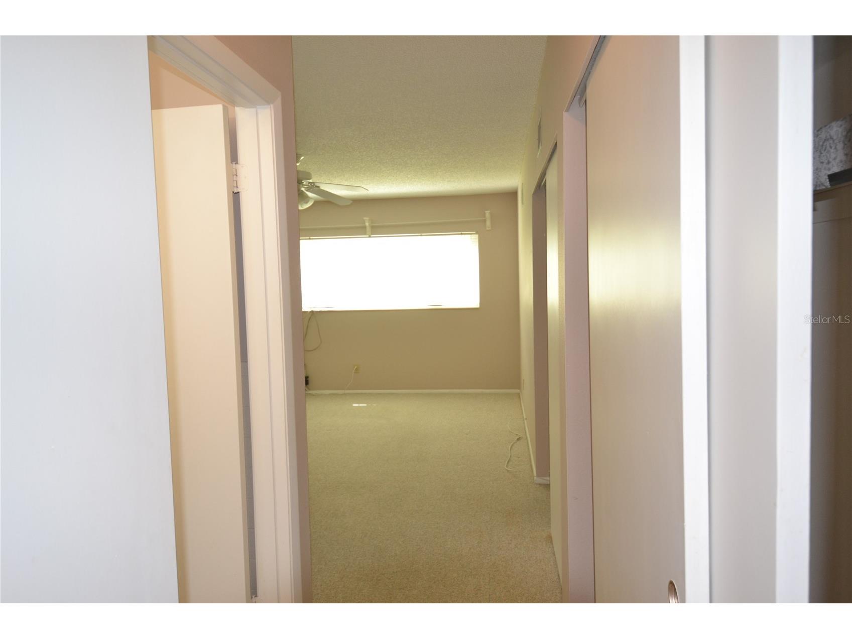 2471 Sumatran Way #25 Clearwater FL 33763 TB8523747 image38