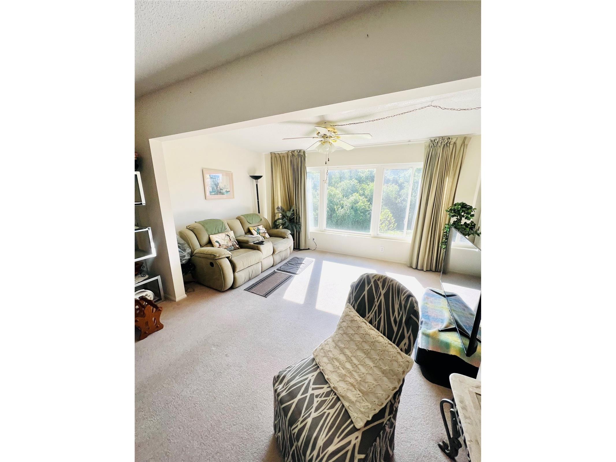 2471 Sumatran Way #43 Clearwater FL 33763 TB8477416 image12